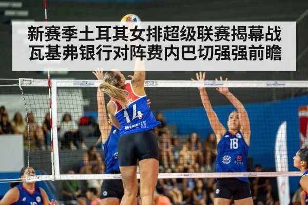 volleyball match action | kaiyun sports